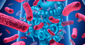 blue intestines 282x150 - میکروبیوم چیست و چرا مهم است؟